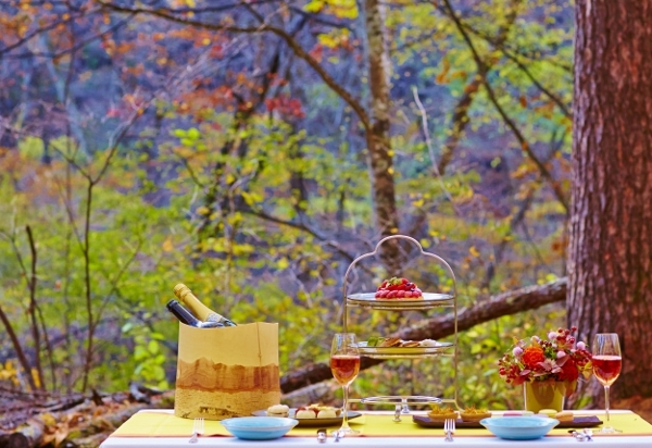 星野リゾートのプレスリリース画像4