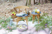 星野リゾートのプレスリリース画像4