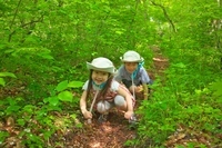 星野リゾートのプレスリリース画像6