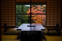 星野リゾートのプレスリリース画像3