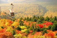 星野リゾートのプレスリリース画像5