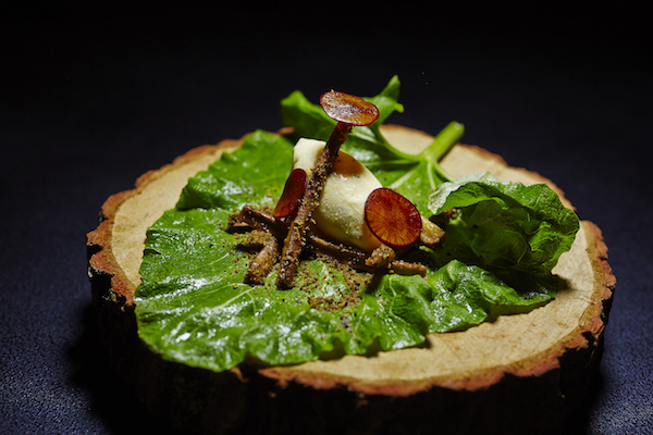 星野リゾートのプレスリリース画像2