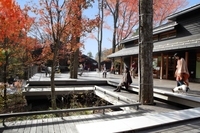 星野リゾートのプレスリリース画像3