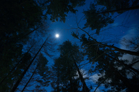 星野リゾートのプレスリリース画像2