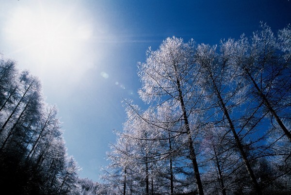 星野リゾートのプレスリリース画像2