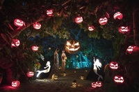 星野リゾートのプレスリリース画像1