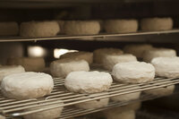 星野リゾートのプレスリリース画像4