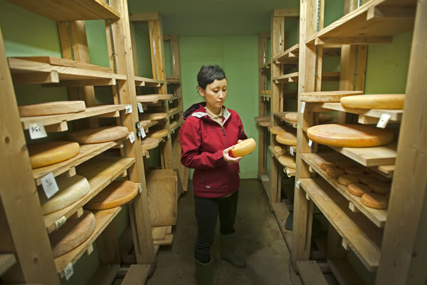 星野リゾートのプレスリリース画像2