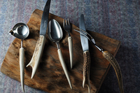 星野リゾートのプレスリリース画像4