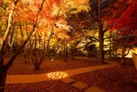 星野リゾートのプレスリリース画像2