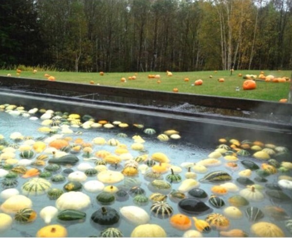 星野リゾートのプレスリリース画像5