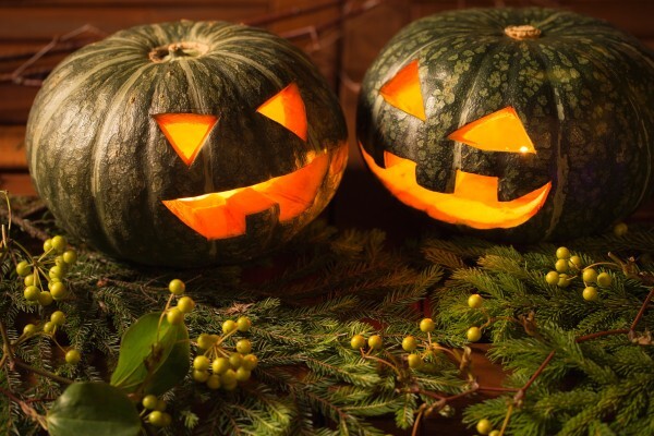 星野リゾートのプレスリリース画像7