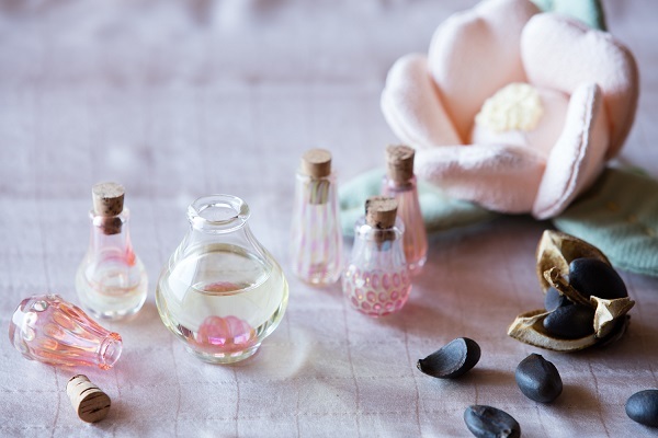 星野リゾートのプレスリリース画像1