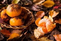 星野リゾートのプレスリリース画像3