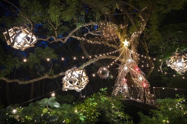 流木クリスマスツリーが登場 くすくすの森 クリスマス 開催のお知らせ 16年12月1日 12月25日 リゾナーレ熱海 星野リゾートのプレスリリース 流木クリスマスツリーが登場 くすくすの森 クリスマス 開催のお知らせ 16年12月1日 12月25日 リゾナーレ熱海 星野リゾートのプレスリリース