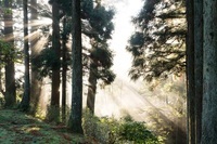 星野リゾートのプレスリリース画像2