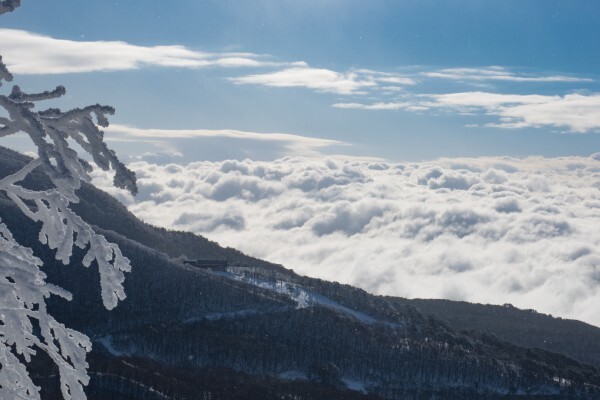 星野リゾートのプレスリリース画像3