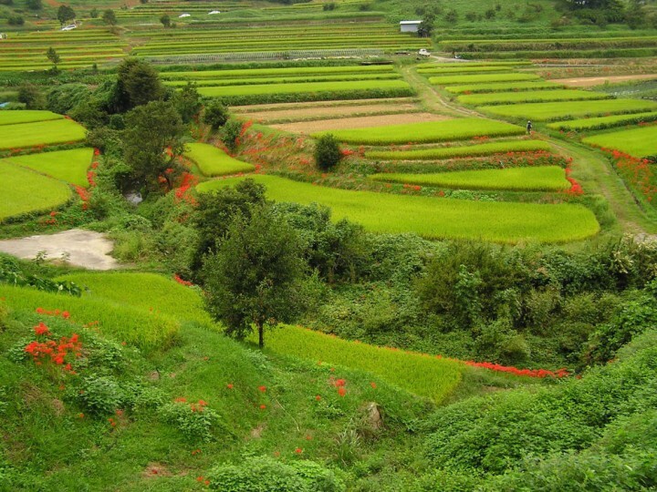 星野リゾートのプレスリリース画像2