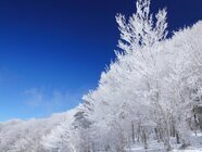 星野リゾートのプレスリリース画像1