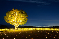 星野リゾートのプレスリリース画像3