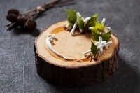 星野リゾートのプレスリリース画像4