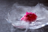 星野リゾートのプレスリリース画像3