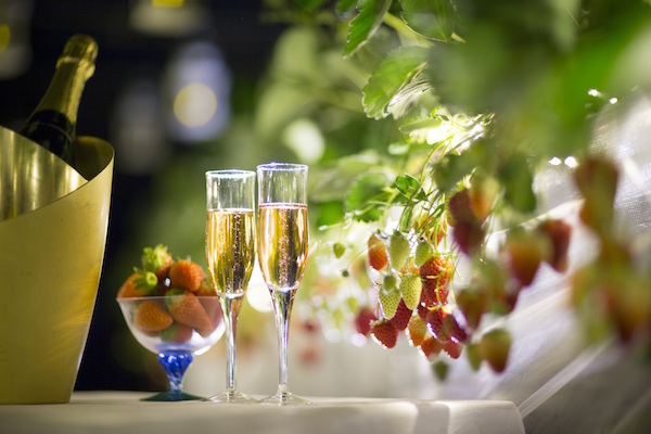 星野リゾートのプレスリリース画像2