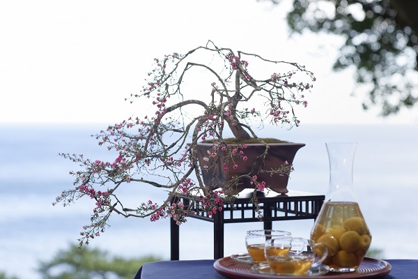 星野リゾートのプレスリリース画像1