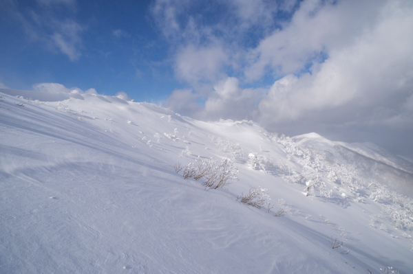 星野リゾートのプレスリリース画像4