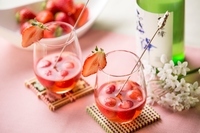 星野リゾートのプレスリリース画像4