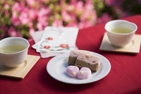 星野リゾートのプレスリリース画像3