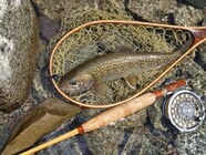 星野リゾートのプレスリリース画像2