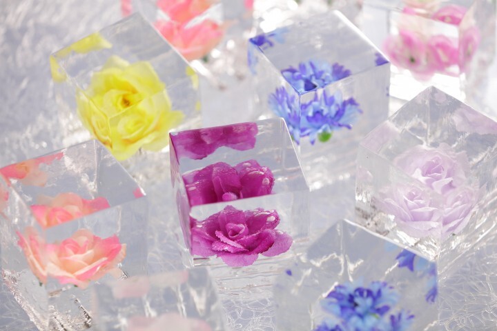 星野リゾートのプレスリリース画像5