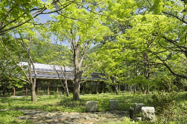 星野リゾートのプレスリリース画像7