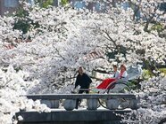 星野リゾートのプレスリリース画像3