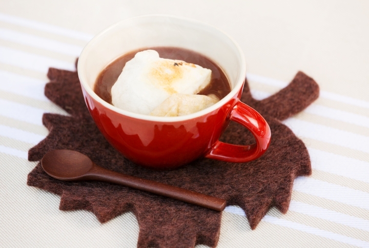 星野リゾートのプレスリリース画像4