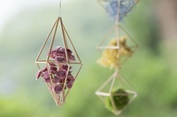 星野リゾートのプレスリリース画像4