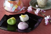 星野リゾートのプレスリリース画像5