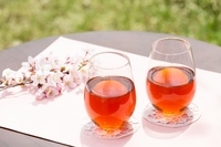 星野リゾートのプレスリリース画像3