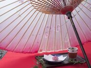 星野リゾートのプレスリリース画像2