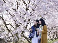 星野リゾートのプレスリリース画像4