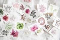 星野リゾートのプレスリリース画像5