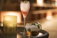 星野リゾートのプレスリリース画像7