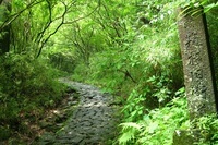 星野リゾートのプレスリリース画像2