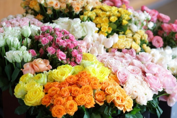 星野リゾートのプレスリリース画像4