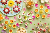 星野リゾートのプレスリリース画像3