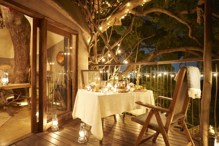 樹齢300年のくすのきの樹上で 空中朝活 つき 限定プラン発売のお知らせ 17年4月7日 5月26日 リゾナーレ熱海 星野リゾートのプレスリリース 樹齢300年のくすのきの樹上で 空中朝活 つき 限定プラン発売のお知らせ 17年4月7日 5月26日 リゾナーレ熱海 星野リゾートのプレスリリース