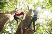 星野リゾートのプレスリリース画像1