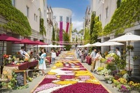 星野リゾートのプレスリリース画像1