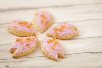 星野リゾートのプレスリリース画像6